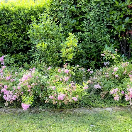 Belvilla By Oyo Montebello Bilo B בית נופש